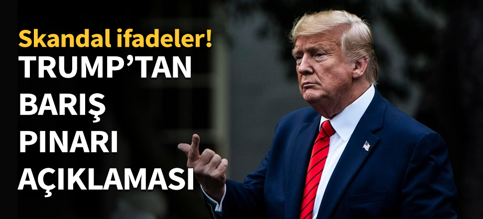 Trump'tan Barış Pınarı açıklaması...