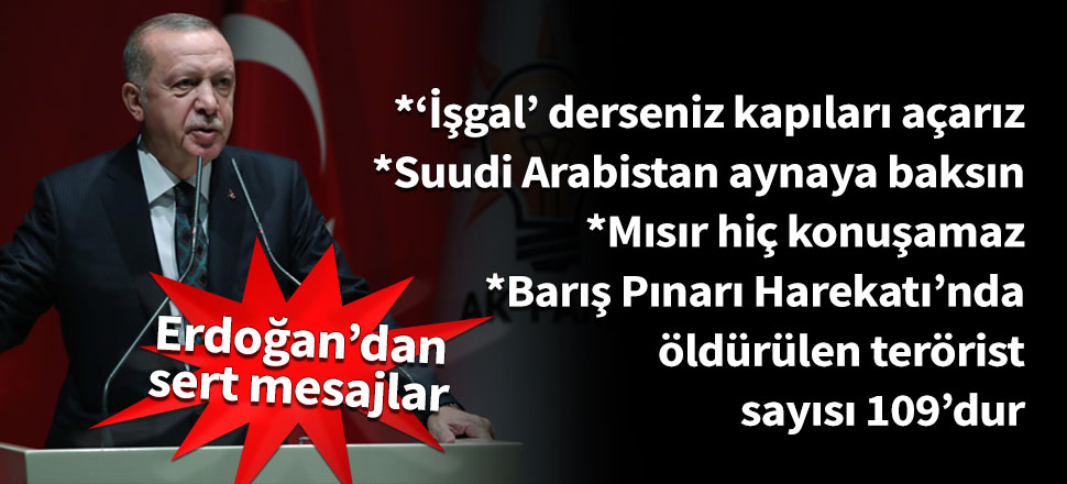 Erdoğan: Barış Pınarı Harekatı'nda 109 terörist öldürüldü