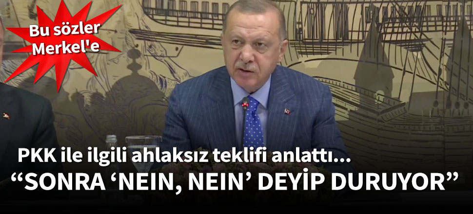 Erdoğan PKK ile ilgili ahlaksız teklifi anlattı...