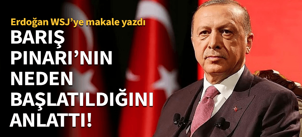 "Diğerleri harekete geçmeyince adım attık"