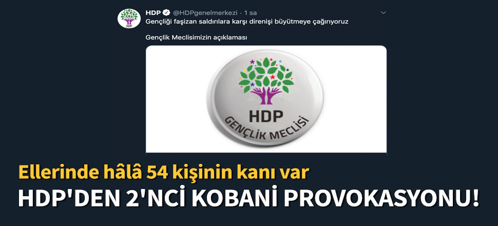 HDP'den 2. Kobani ayaklanması girişimi
