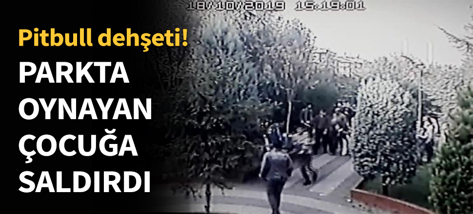 Parkta oynayan 7 yaşındaki çocuğa saldırdı...