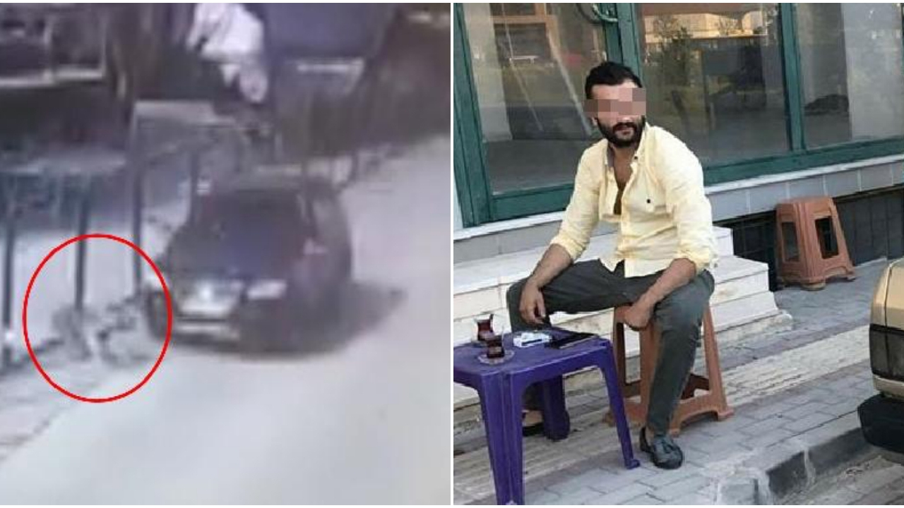 Yol kenarında yemek yiyen köpeğe bilerek çarptı!