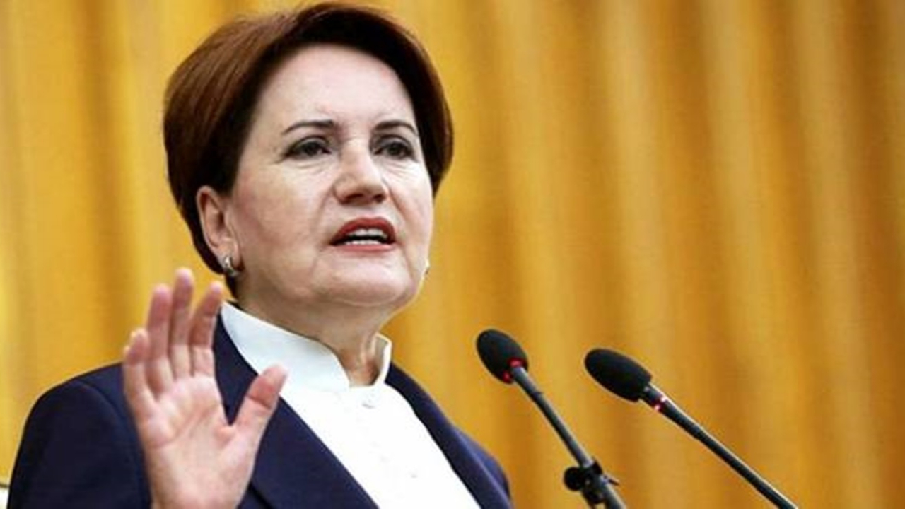 Ankara'da Meral Akşener: ''Bu harekat sayesinde dostu, düşmanı gördük''
