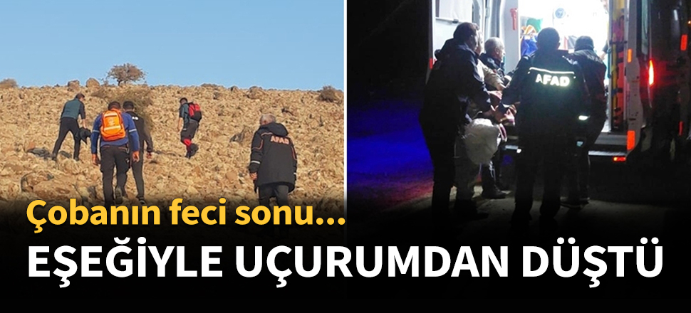 Eşeğiyle uçurumdan düştü...