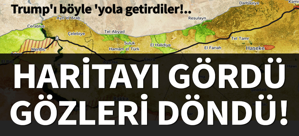Haritayı gördü, gözleri döndü!