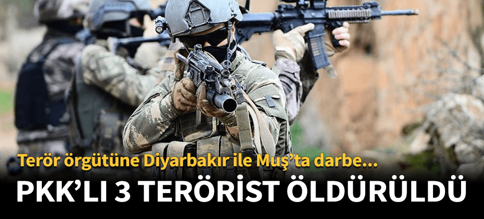 Muş ve Diyarbakır'da PKK'ya darbe!