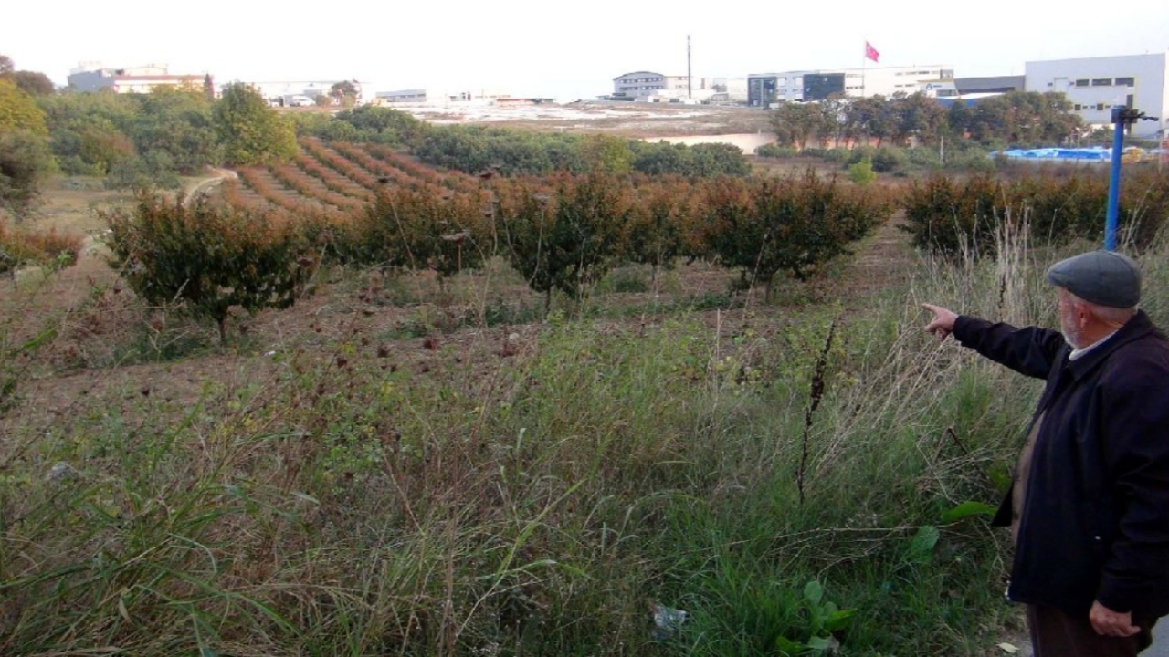 Dublör kullanıp dolandırdılar