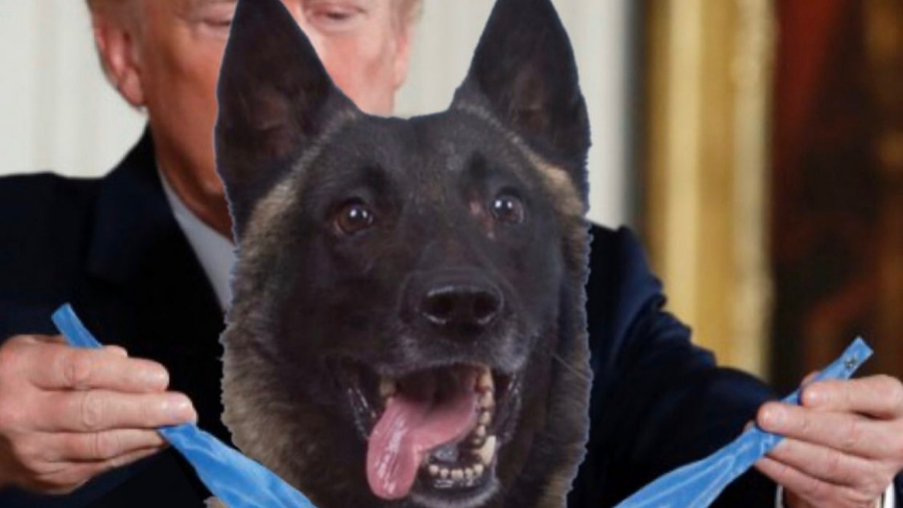 Trump, 'harika köpeği' onurlandırmaya devam ediyor!