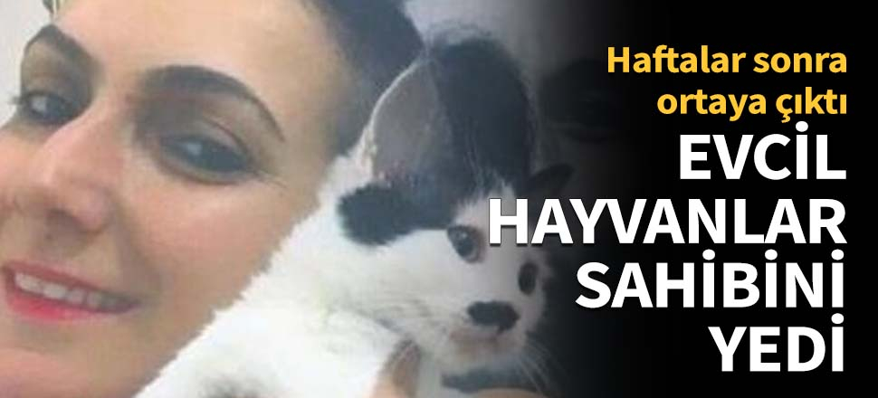 Evcil hayvanlar sahibini yedi