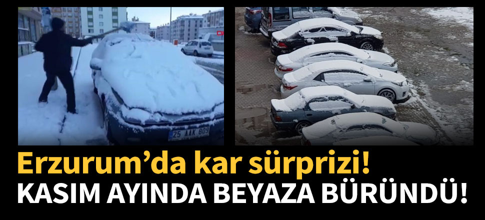 Erzurum'da kasım ayında kar sürprizi