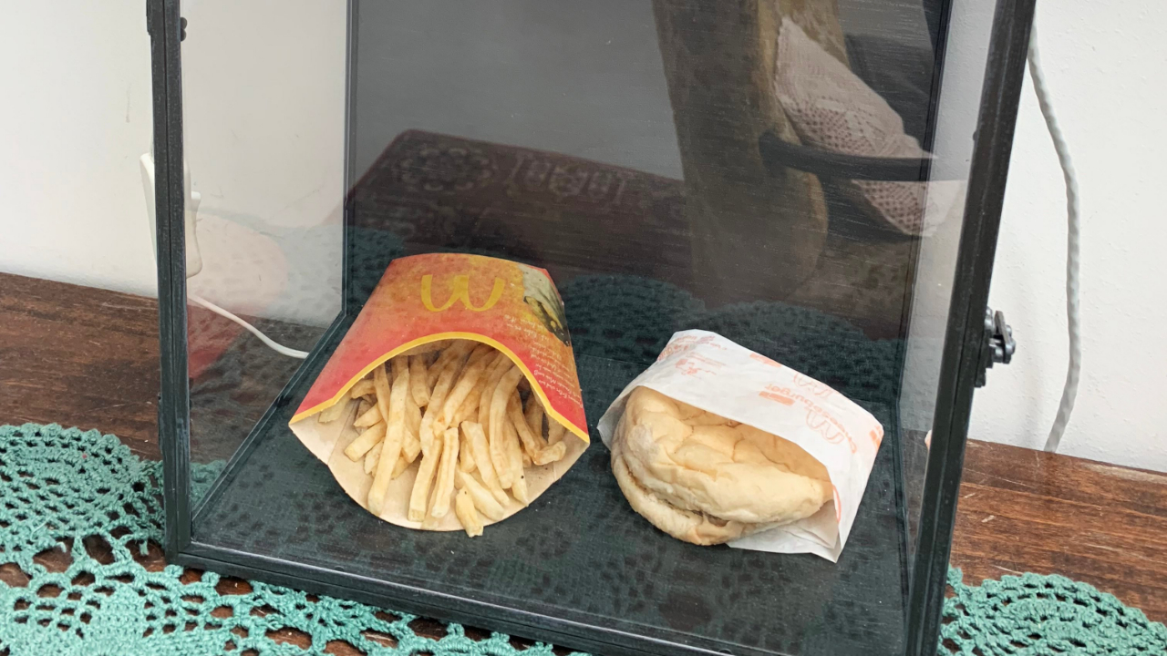 İşte o ülkenin son hamburgeri!