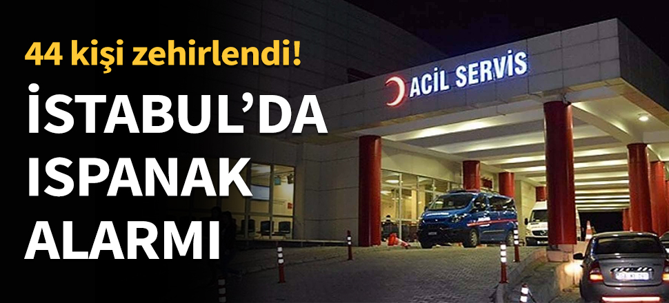 İstanbul'da ıspanak alarmı!