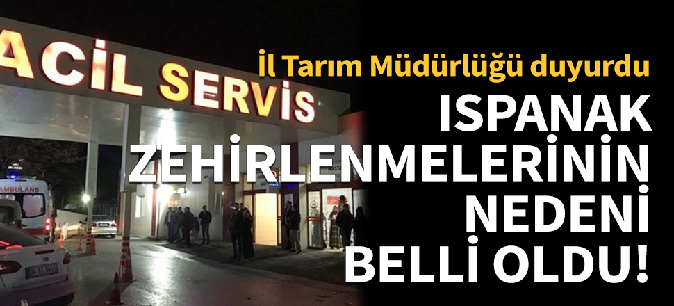 İstanbul'daki ıspanak zehirlenmelerinin nedeni belli oldu!