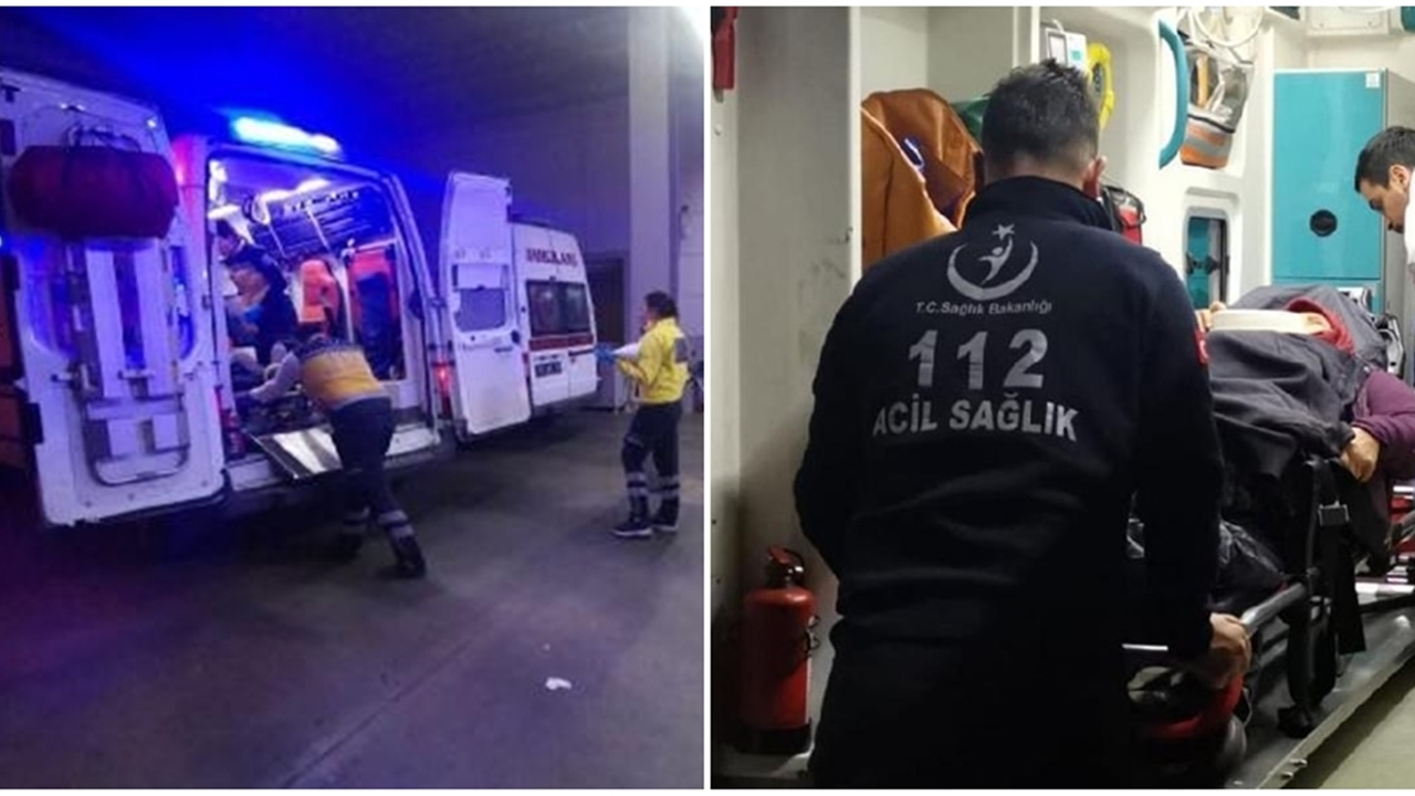 Topladıkları mantarlardan zehirlendiler...