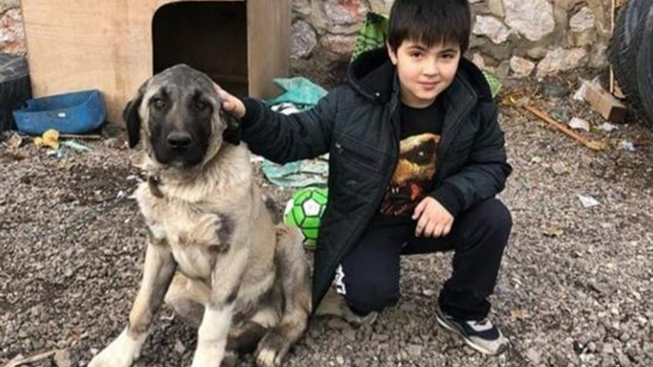 7 yaşındaki Yiğit Efe'den acı haber!