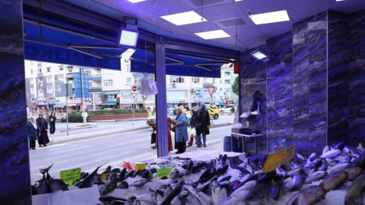 Balıkçıların mavi ışığının sırrı ortaya çıktı!
