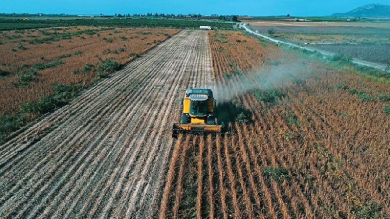 Çiftçilere 284 milyon liralık destek