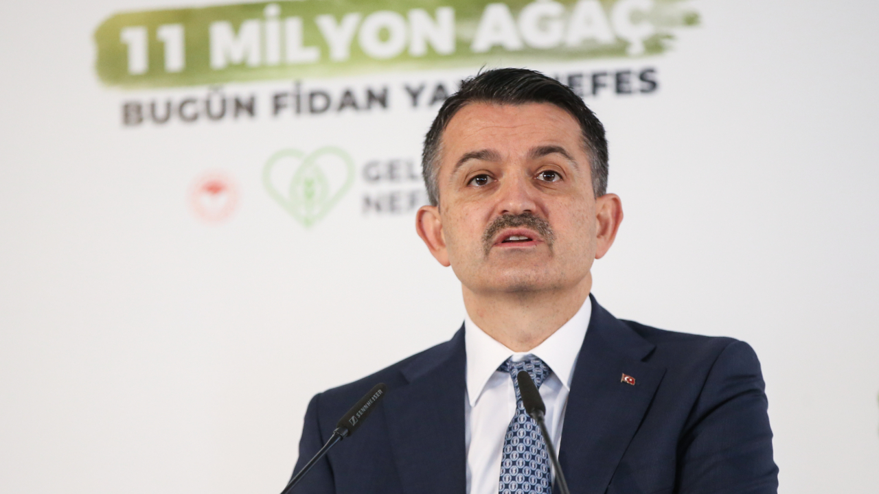 Bakan Pakdemirli: '2 dünya rekoru kıracağız'