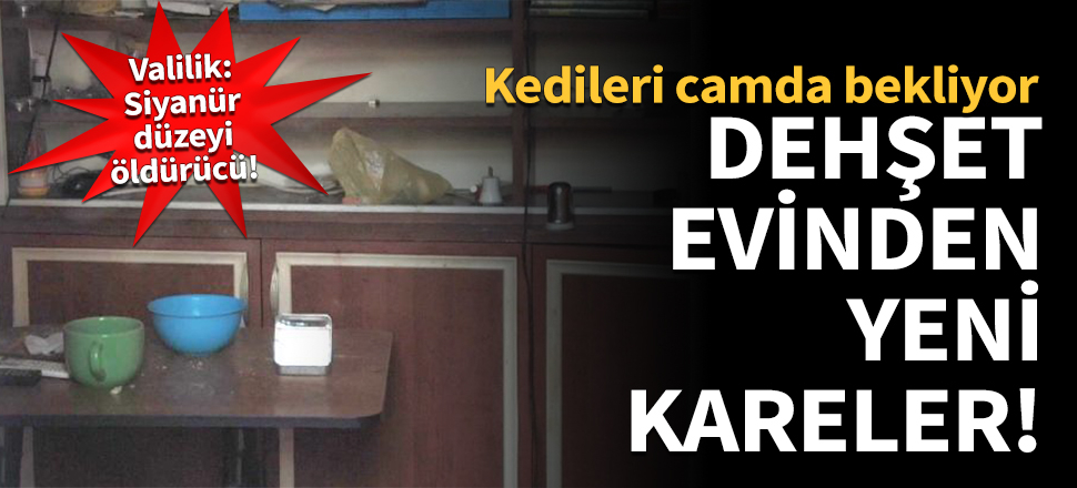 İstanbul Valiliği açıkladı: Siyanür düzeyi öldürücü!