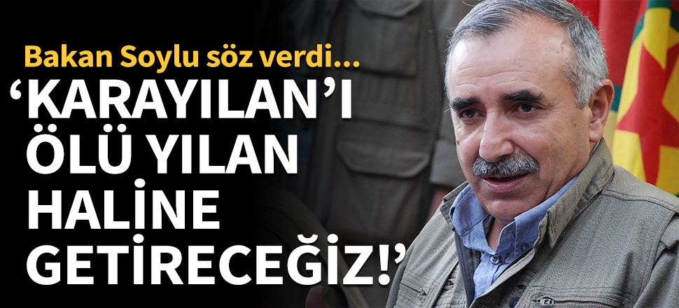 Süleyman Soylu söz verdi: Karayılan'ı ölü yılan haline getireceğiz!