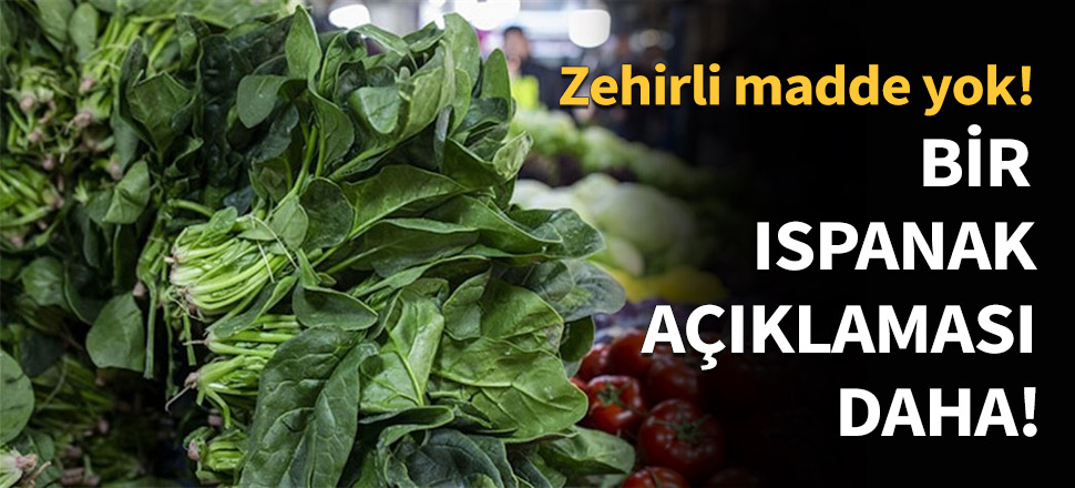 Bir ıspanak açıklaması daha...