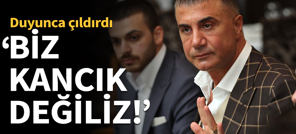 Sedat Peker duyunca çıldırdı: Biz kancık değiliz!