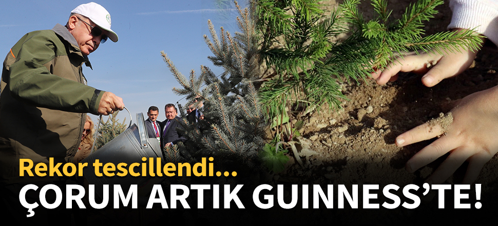Tescillendi... 1 saat içinde en çok ağaç dikme rekoru Türkiye'de!
