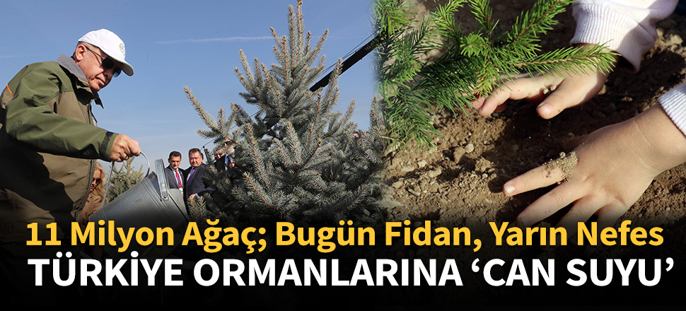 Türkiye ormanlarına 'can suyu'