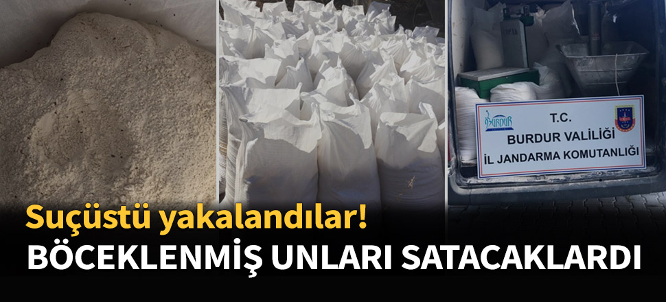 Böceklenmiş unları vatandaşa satacaklardı!