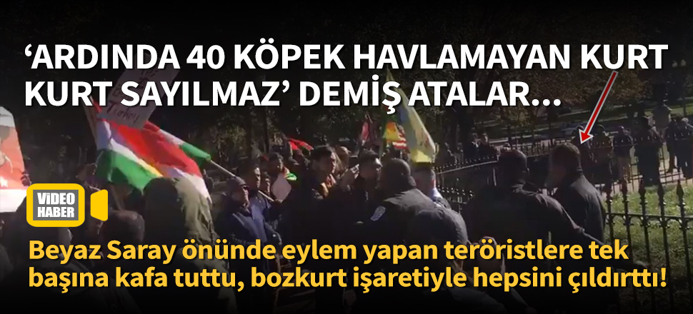 ABD'de terör örgütü yandaşlarına bozkurtlu tepki!