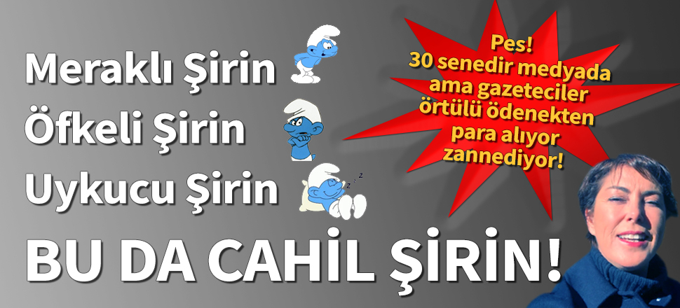 Meraklı Şirin... Öfkeli Şirin... Bu da Cahil Şirin