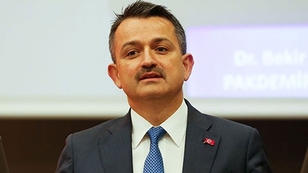 Pakdemirli'den flaş gıda açıklaması: Affı yok