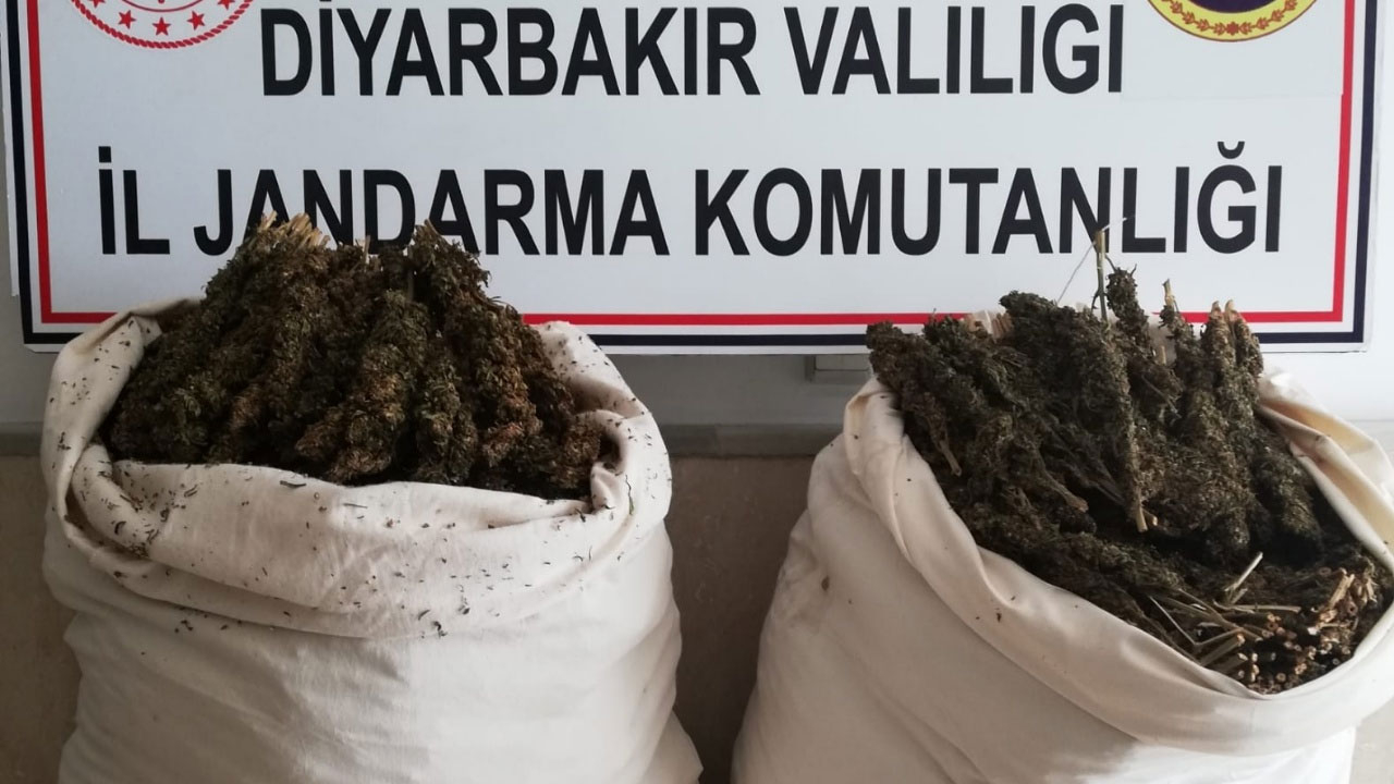 Terör örgütünün finans kaynağına büyük darbe