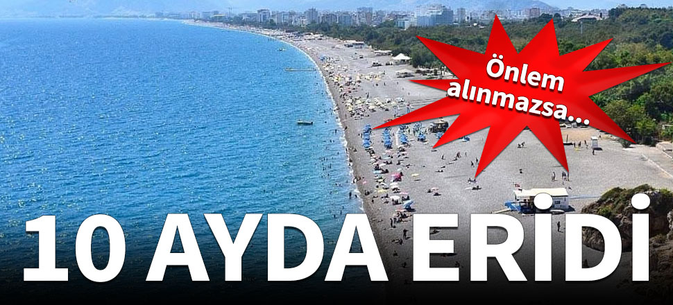 10 ayda 1 hektar yok oldu