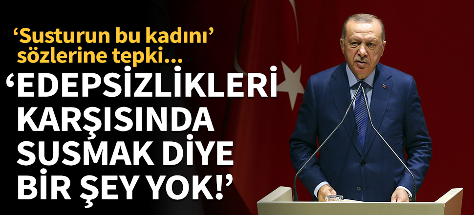 Cumhurbaşkanı Erdoğan: Edepsizlikleri karşısında artık susmak diye bir şey yok!