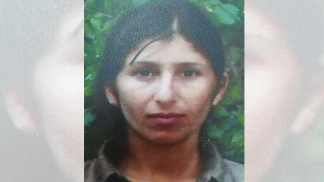 PKK'nın sözde sorumlusu sağ ele geçirildi!
