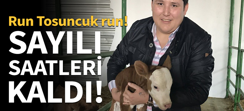 Tosuncuk için sayılı saatler kaldı!