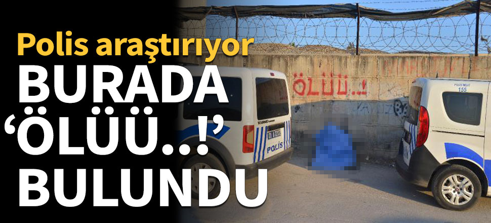 Yol kenarında oturur halde bulundu