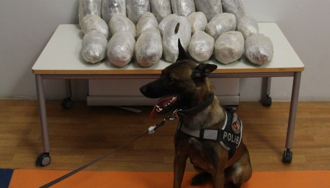 Uyuşturucu tacirleri polis köpeği Şimşek'ten kaçamadı...
