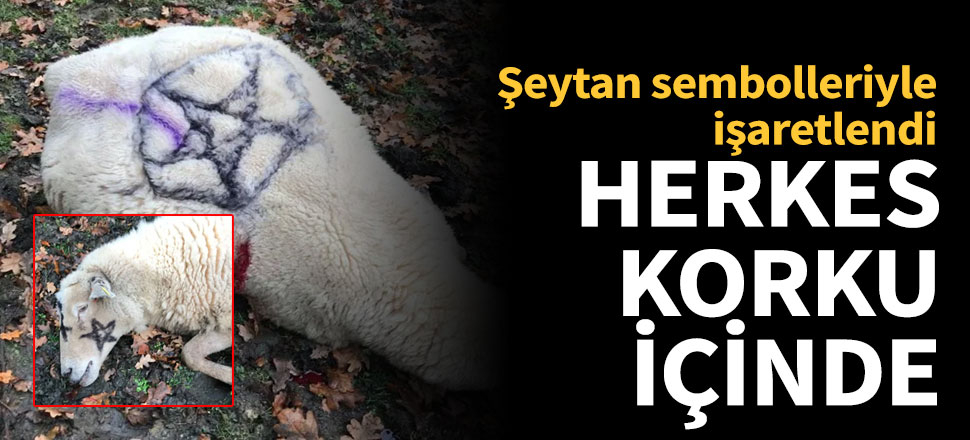 Öldürüp şeytan sembolleri çizdiler