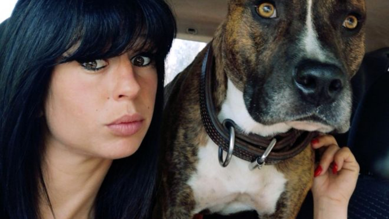 Avcı köpekler hamile kadını parçaladı!