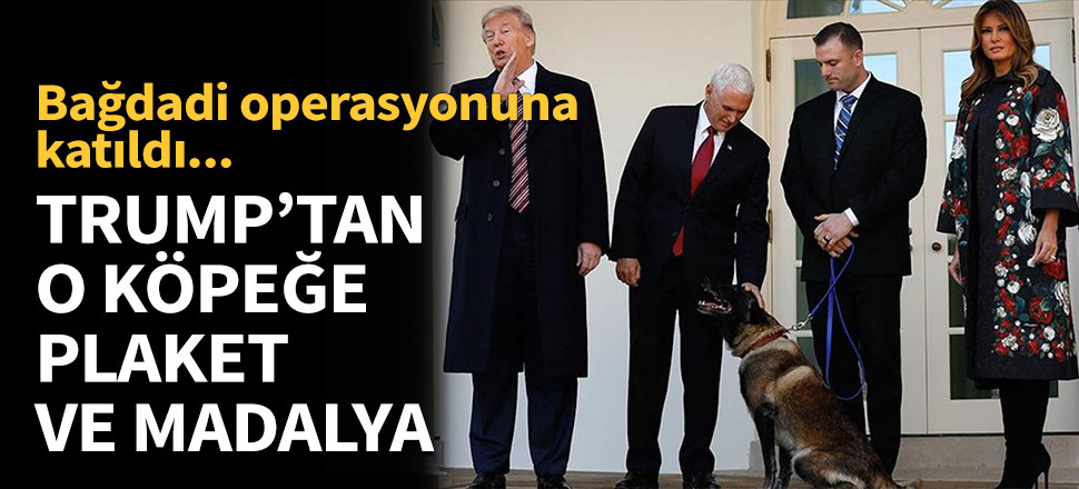Trump'tan o köpeğe plaket ve madalya...
