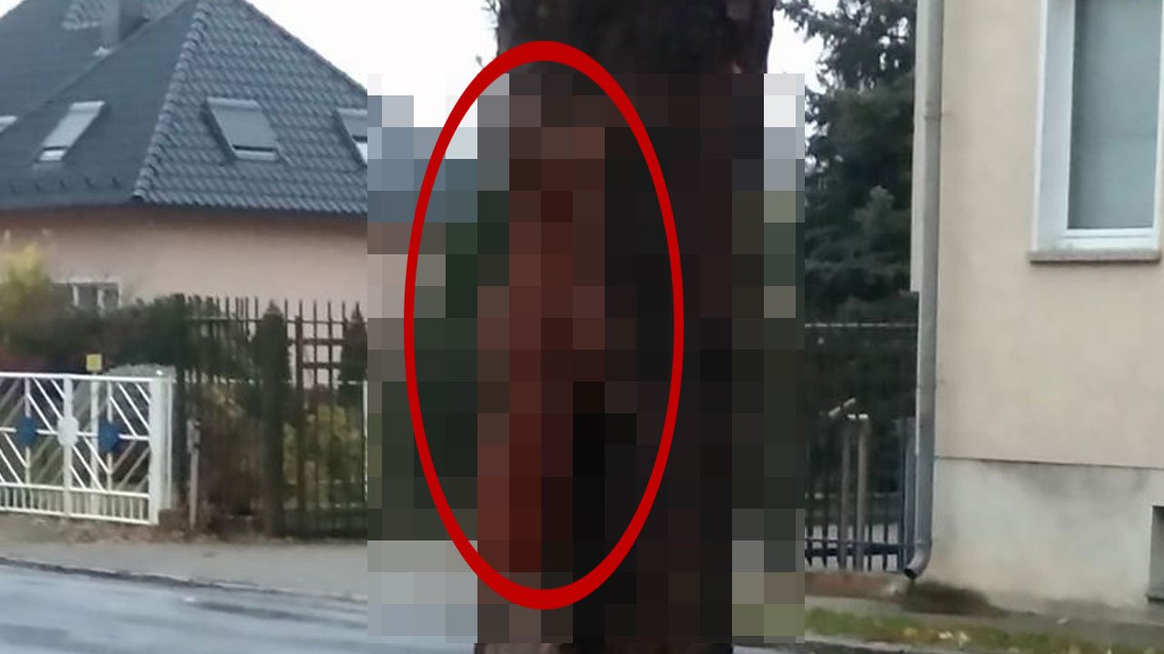 Korkunç! Canlı canlı ağaca çiviledi
