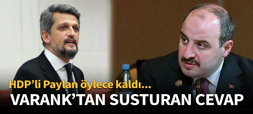 Bakan Varank, HDP'li Paylan'ı böyle susturdu!