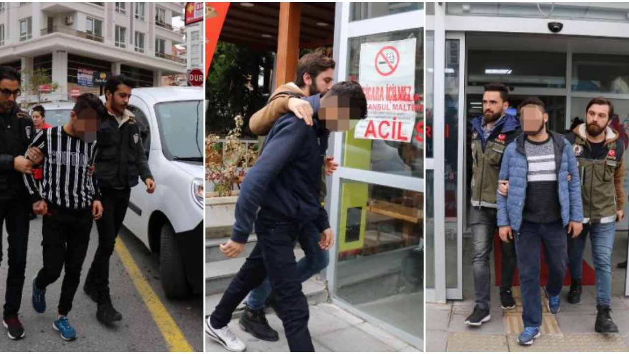 Kediyi köpeklerine parçalatan zanlılar gözaltında!