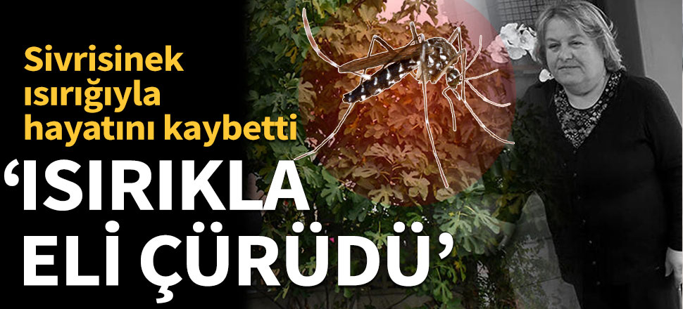 Sivrisinek ısırığıyla eli çürüdü