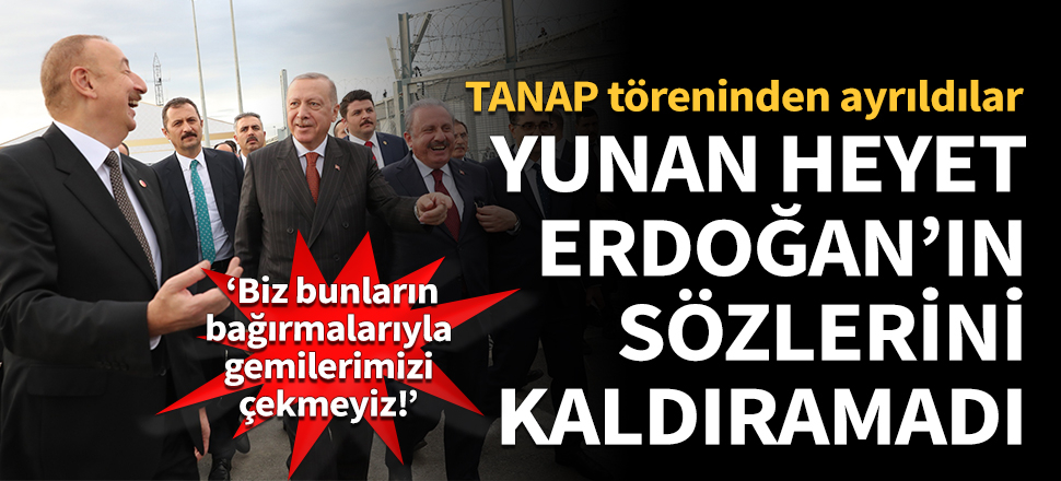 Yunan heyet Erdoğan'ın sözlerini kaldıramadı!