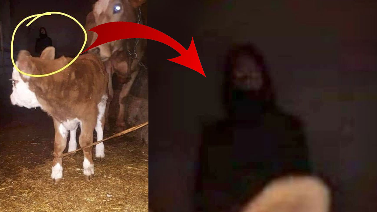 Esrarengiz fotoğraf tartışma konusu oldu