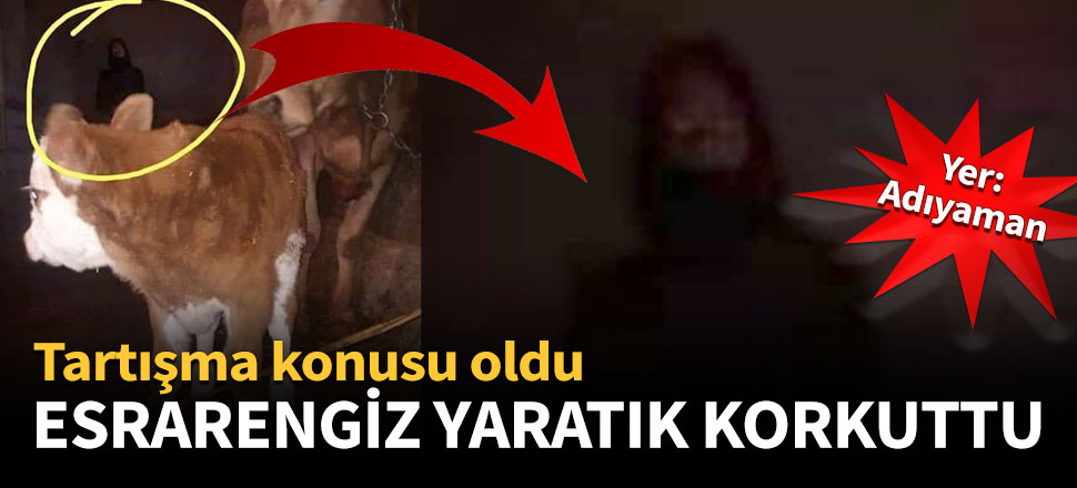Esrarengiz fotoğraf tartışma konusu oldu